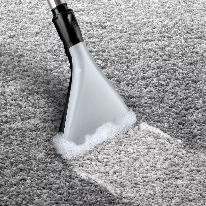 Bosch Serie 4 BWD421PET putekļsūcējs 5L cilindrisks Slapjā un sausā tīrīšana 2100 W