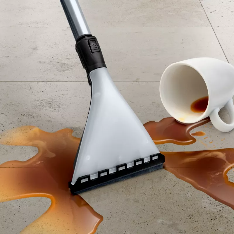 Bosch Serie 4 BWD421PET putekļsūcējs 5L cilindrisks Slapjā un sausā tīrīšana 2100 W