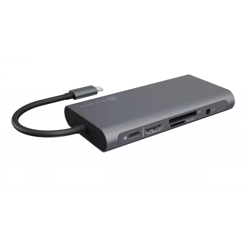 ICY BOX IB-DK4040-CPD Vadu USB 3.2 Gen 1 (3.1 Gen 1) Type-C dokstacija, antracīta/melna