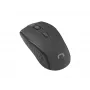 Bezvadu optiskā pele NATEC Jay 2 RF — 2.4 GHz, 1600 DPI, abpusēja, 4 pogas, melna