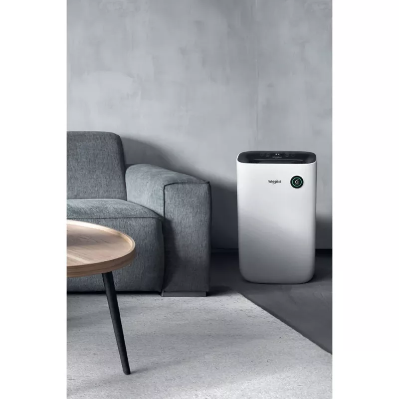 Gaisa mitruma samazinātājs Whirlpool DE20W5252 6.5 L 44 dB 420 W Melns Balts