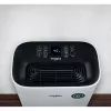 Gaisa mitruma samazinātājs Whirlpool DE20W5252 6.5 L 44 dB 420 W Melns Balts