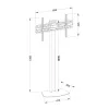 Grīdas TV statīvs TECHLY ICA-TR27 32–55 collu (81.3–139.7 cm), VESA 100x100–600x400, slīpums -15–0°, maksimālā slodze 40 kg, melns