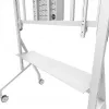 Neomounts MOVE Go XL FL50-575WH1 televizora ratiņi, 65-110 collas, līdz 125 kg, VESA 100x100-1100x600, augstums 129-139 cm, ar fiksēšanu, ātra montāža, TÜV, balti