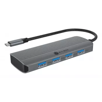 ICY BOX IB-DK4022a-CPD USB 3.2 Gen 1 Type-C dokstacija, alumīnijs, sudrabs