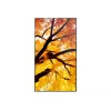 Sharp MultiSync M322 Digital signage plakanā paneļa displejs 81.3 cm (32 collas) LCD 550 cd/m² Full HD Melns