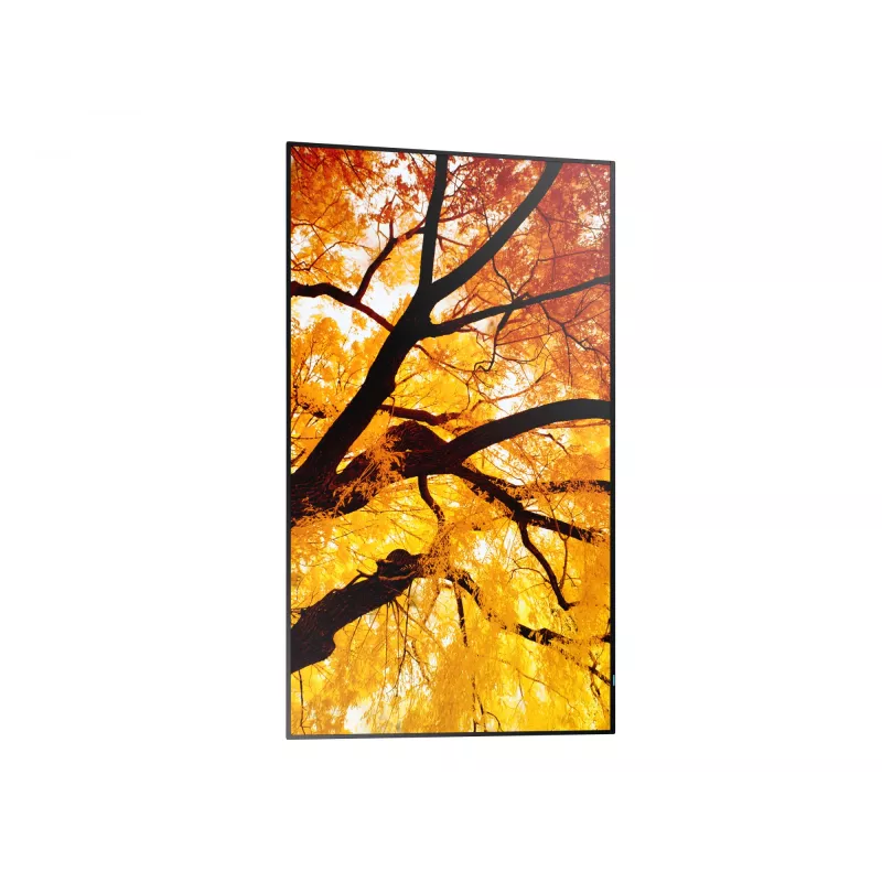 Sharp MultiSync M322 Digital signage plakanā paneļa displejs 81.3 cm (32 collas) LCD 550 cd/m² Full HD Melns