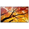 Sharp MultiSync M552 digitālās zīmēšanas plakanais panelis 139,7 cm (55 collas) LCD 550 cd/m² 4K Ultra HD Melns ar skārienekrānu