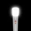Rokas lukturītis Hama FL250 LED 3W alumīnija sudrabs