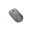 Lenovo Pro Plus 6050 pele Office Ambidextrous RF Bezvadu + Bluetooth Optiskā 2400 DPI