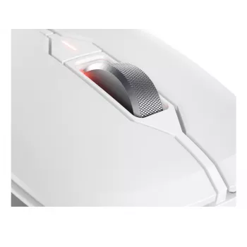 Bezvadu tastatūras un peles komplekts CHERRY STREAM DESKTOP COMFORT, pilna izmēra, QWERTZ