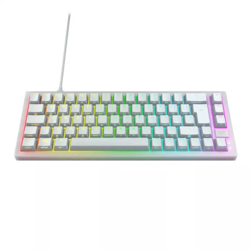 CHERRY XTRFY K5V2 RGB kompakta 65% vadu mehāniskā spēļu tastatūra, CHERRY MX2A Red, vācu QWERTZ, balta