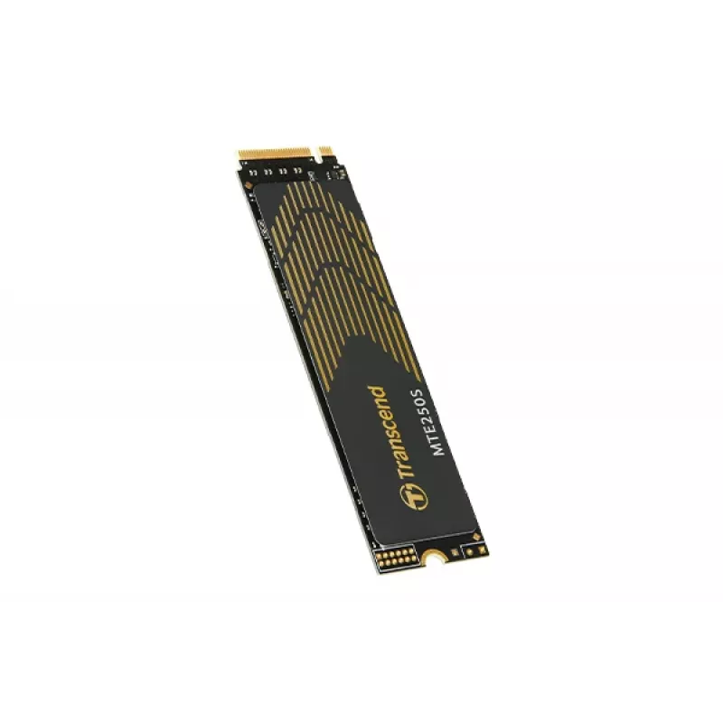 TRANSCEND PCIe SSD 250s 1TB M.2 2280 NVMe PCI-E GEN4 x4 3D NAND