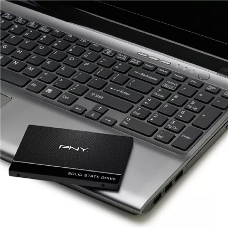 PNY CS900 250GB 2.5 inch SATA III SSD disks