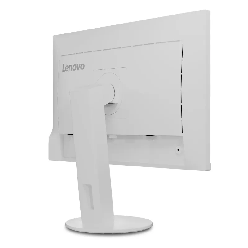 Lenovo C24d-20 24 collu monitors, 1920 x 1200, IPS, LED, pelēks/balts