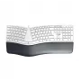 CHERRY KC 4500 ERGO ergonomiskā tastatūra, universāla, USB, QWERTZ, vācu izkārtojums, balta