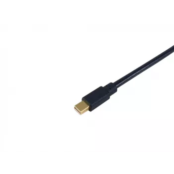 Equip Mini DisplayPort uz DisplayPort kabelis, vīriešu/vīriešu, 2,0 m