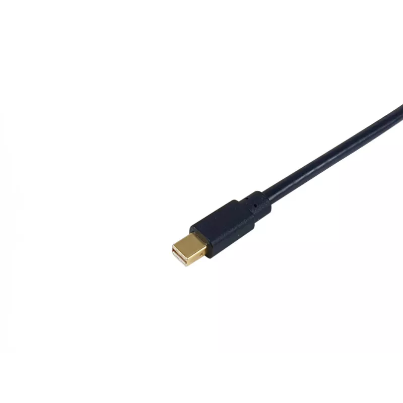 Equip Mini DisplayPort uz DisplayPort kabelis, vīriešu/vīriešu, 2,0 m