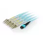 Equip MTP/MTP Trunk Fiber Optic Patch Cable, OM4, 5m