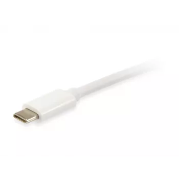 Equip Platinum USB Type C kabelis, 2m, balts