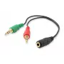 Equip Audio Sadales Kabelis, Melns, 3.5 mm, 2 x 3.5 mm, Sieviete, Vīrietis, PVC