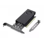 Grafikas karte NVIDIA RTX A400 4 GB GDDR6