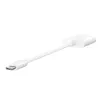 BELKIN Charge Adapter Rockstar 3.5mm Audio + USB-C Balts