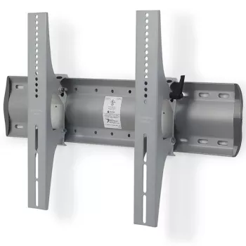 Ergotron Tm Slīpošs Sienas Kronšteins (sudrabs) (61-142-003)