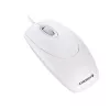 CHERRY WHEELMOUSE OPTICAL vadu pele, gaiši pelēka, PS2/USB, abpusēja, optiskā, USB Type-A, 1000 DPI, balta