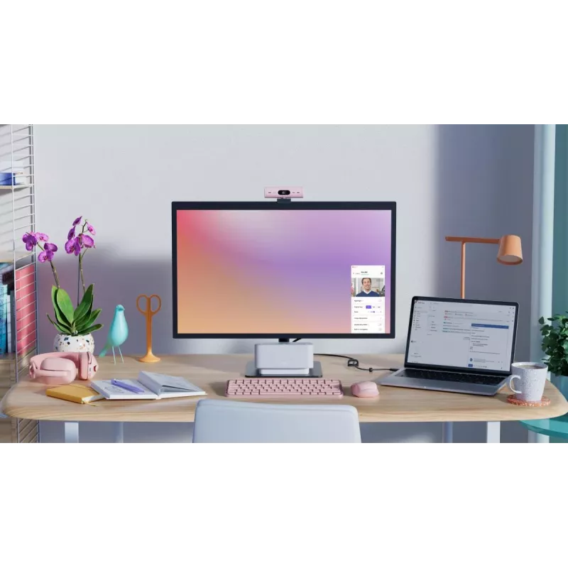 LOGITECH Brio 500 Full HD tīmekļa kamera rozā