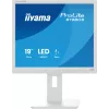iiyama ProLite B1980S-W1 datora monitors 48,3 cm (19 inch) 1280 x 1024 SVGA LED balts