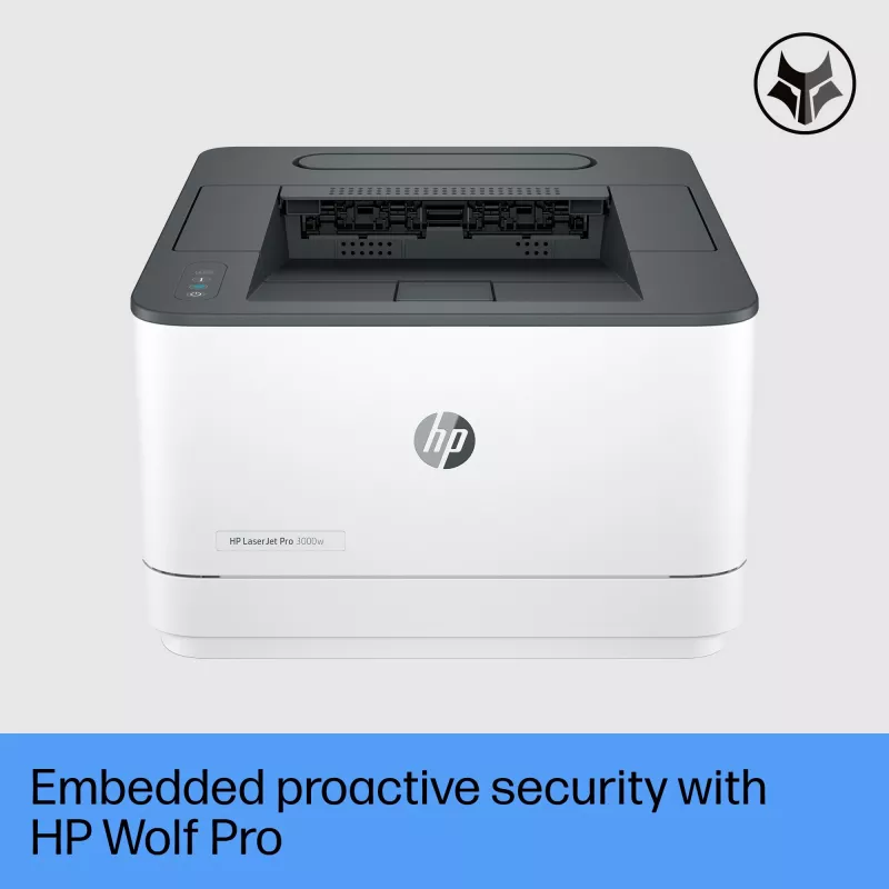 Printeris HP LaserJet Pro 3002dn Pelēks Balts
