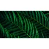 Philips 5000 sērija 27B2G5601/00 datora monitors 68.6 cm (27 collas) 2560 x 1440 pikseļi Quad HD LCD Melns