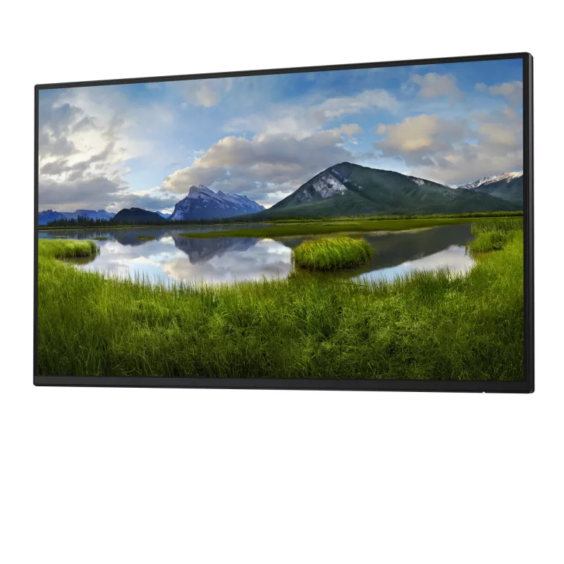 DELL Pro Plus P2425H_WOST 61 cm (24 collas) Full HD LCD monitors melns