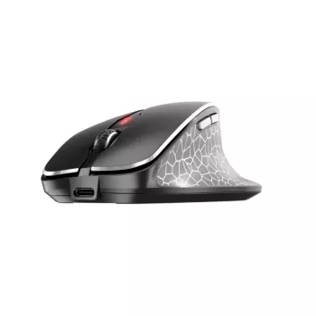 CHERRY MW 8C ERGO pele bezvadu, optiskā, 3000 DPI, RF Wireless + Bluetooth, labai rokai