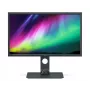 BenQ SW321C profesionāls monitors 81.3 cm (32 inch) 4K Ultra HD LED Pelēks