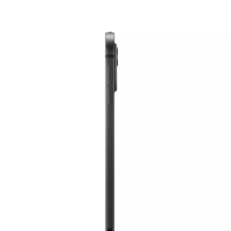APPLE iPad Pro M4 11in Wi-Fi + Cellular 2TB Space Black Standarta stikls