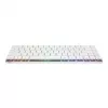 ASUS ROG Falchion RX Low Profile tastatūra Gaming USB + RF Bezvadu + Bluetooth QWERTZ Balta