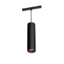 Philips Hue White and colour ambience Perifo cilindrisks piekaramais lukturis