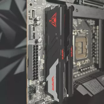 PATRIOT Viper Venom DDR5 64 GB (2x32 GB) 6000 MHz CL36 1.35V ar radiatoru