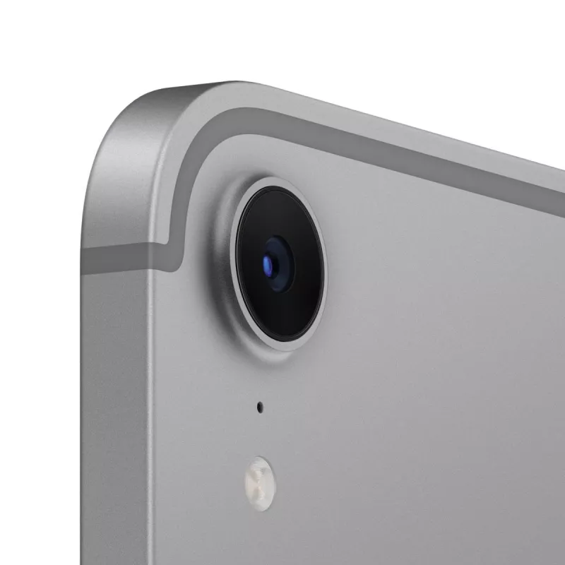 APPLE iPad Mini Wi-Fi + Cellular 256GB - Kosmosa pelēks