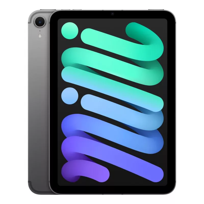 APPLE iPad Mini Wi-Fi + Cellular 256GB - Kosmosa pelēks