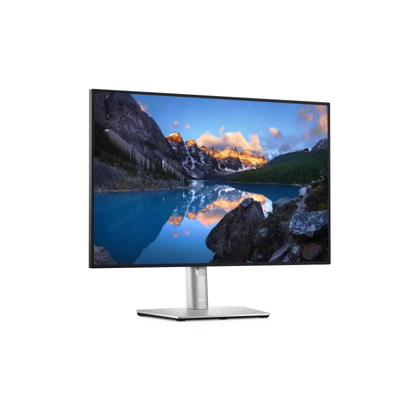 DELL UltraSharp U2421E monitors 61,2 cm (24,1 colli) 1920 x 1200 pikseļi WUXGA LCD Sudrabs