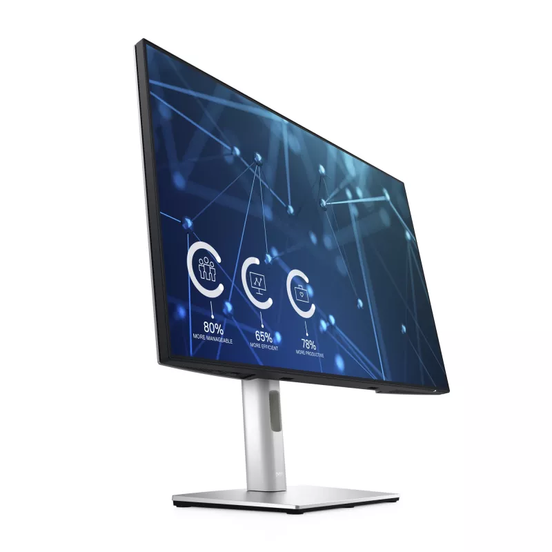 DELL UltraSharp U2421E monitors 61,2 cm (24,1 colli) 1920 x 1200 pikseļi WUXGA LCD Sudrabs