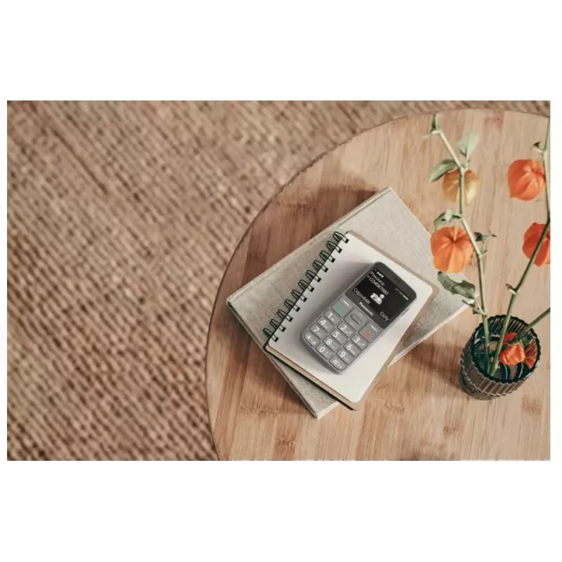 Mobilais telefons Panasonic KX-TU160 2.4 collu