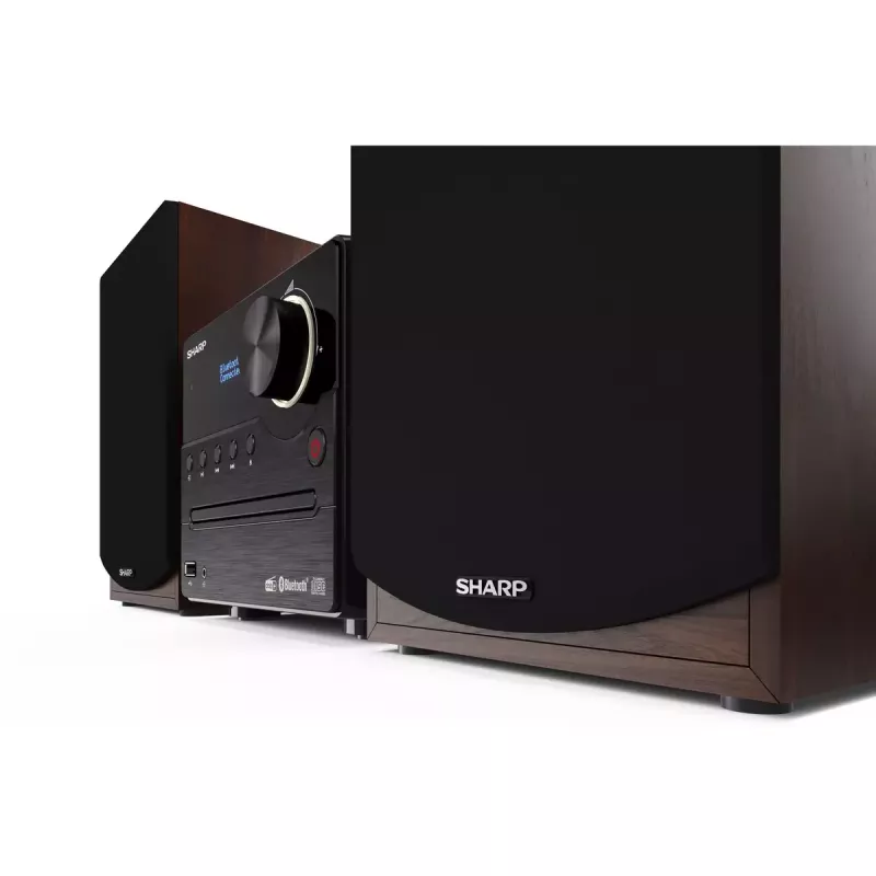 Sharp XL-B517D Mikro audio sistēma 45 W Brūna