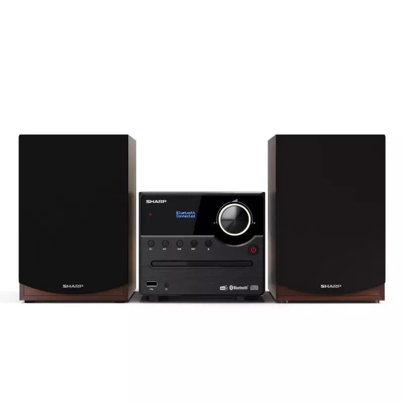 Sharp XL-B517D Mikro audio sistēma 45 W Brūna