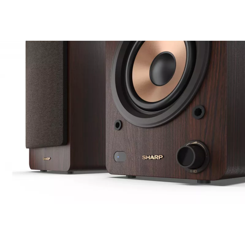 Sharp CP-SS30BR grāmatplauktu skaļruņi 2-virzienu Brūni Vadu & Bezvadu 60 W