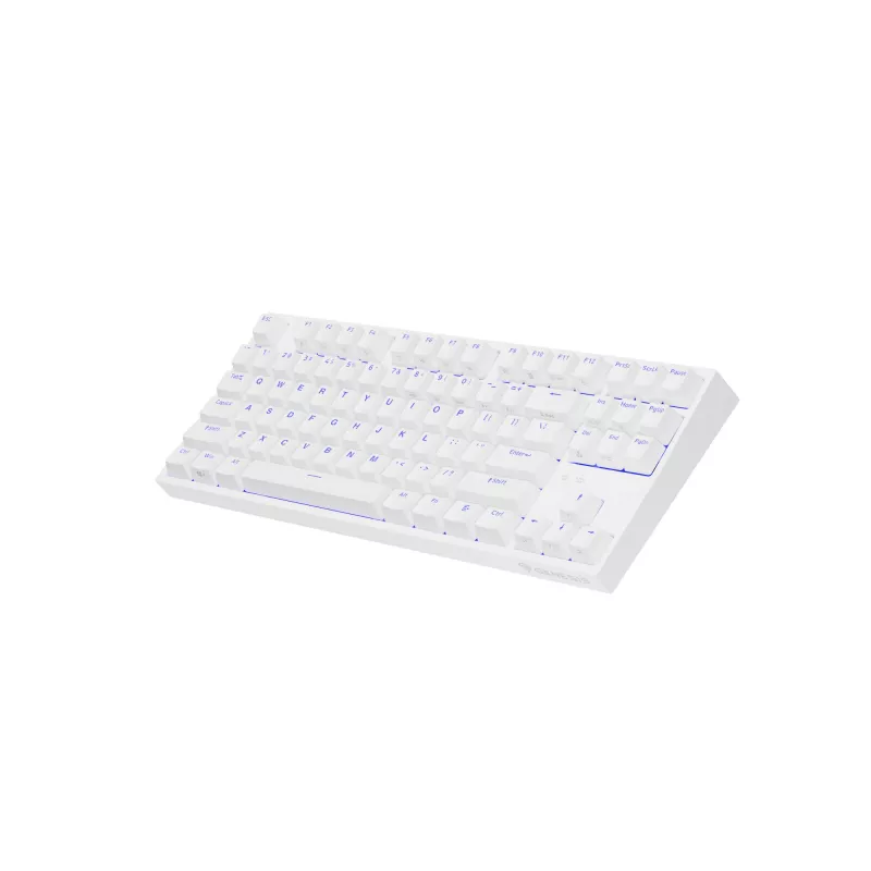 GENESIS Thor 404 TKL spēļu tastatūra USB QWERTY US International Balta