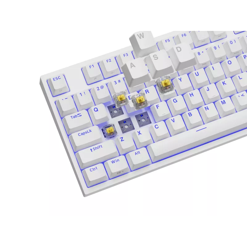 GENESIS Thor 404 TKL spēļu tastatūra USB QWERTY US International Balta